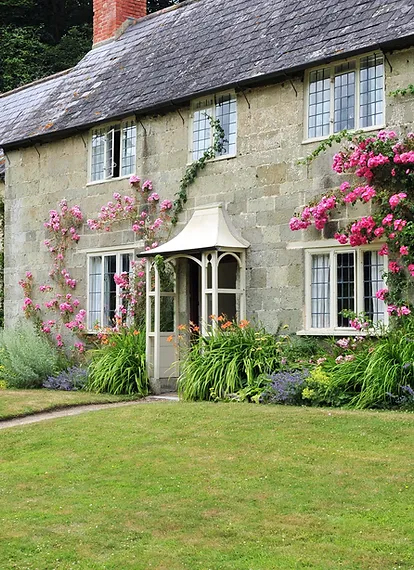 Individual Support - Paul Flay Pest Control Individual Support - Paul Flay Pest Control